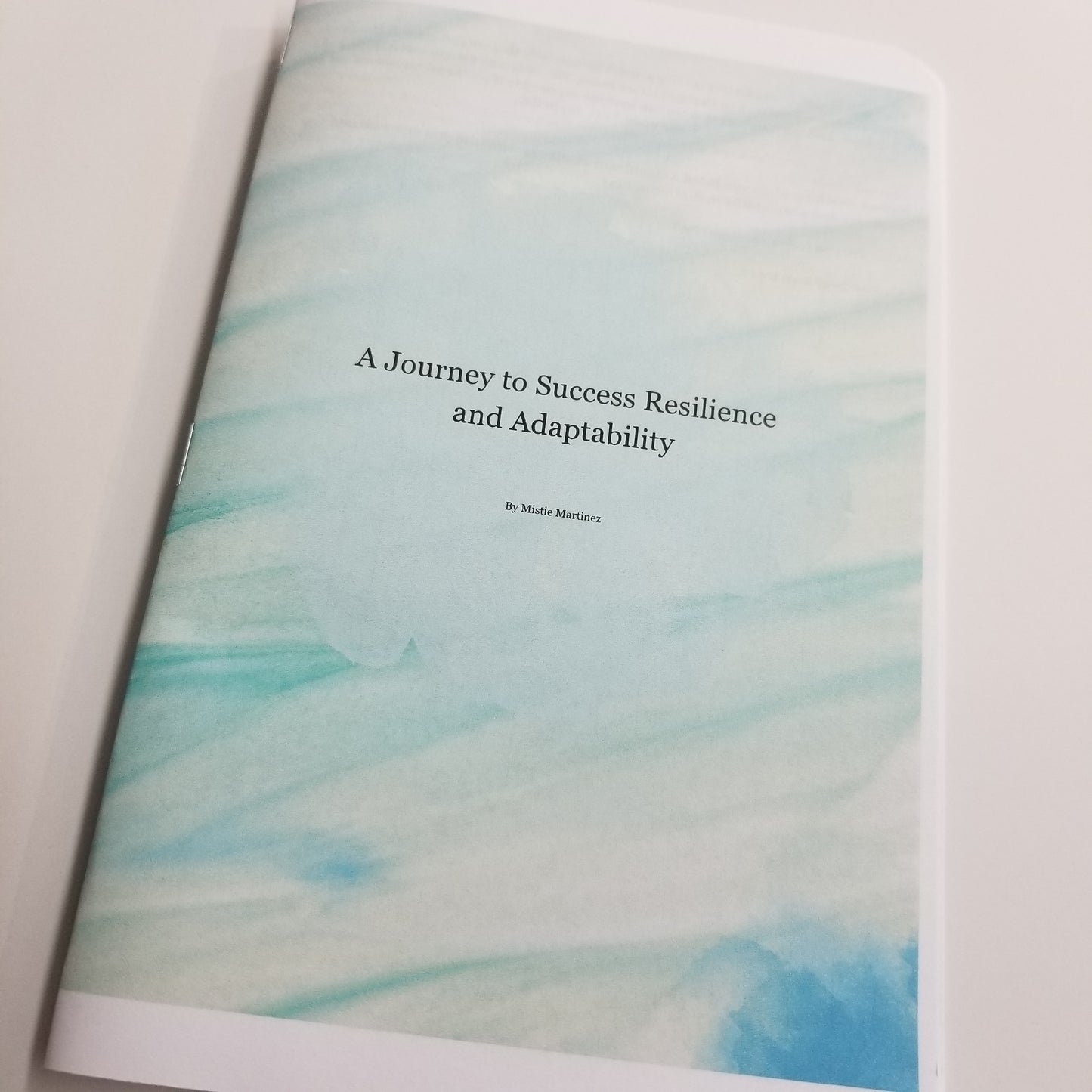 Resilience and Adaptability - A Journey to Success