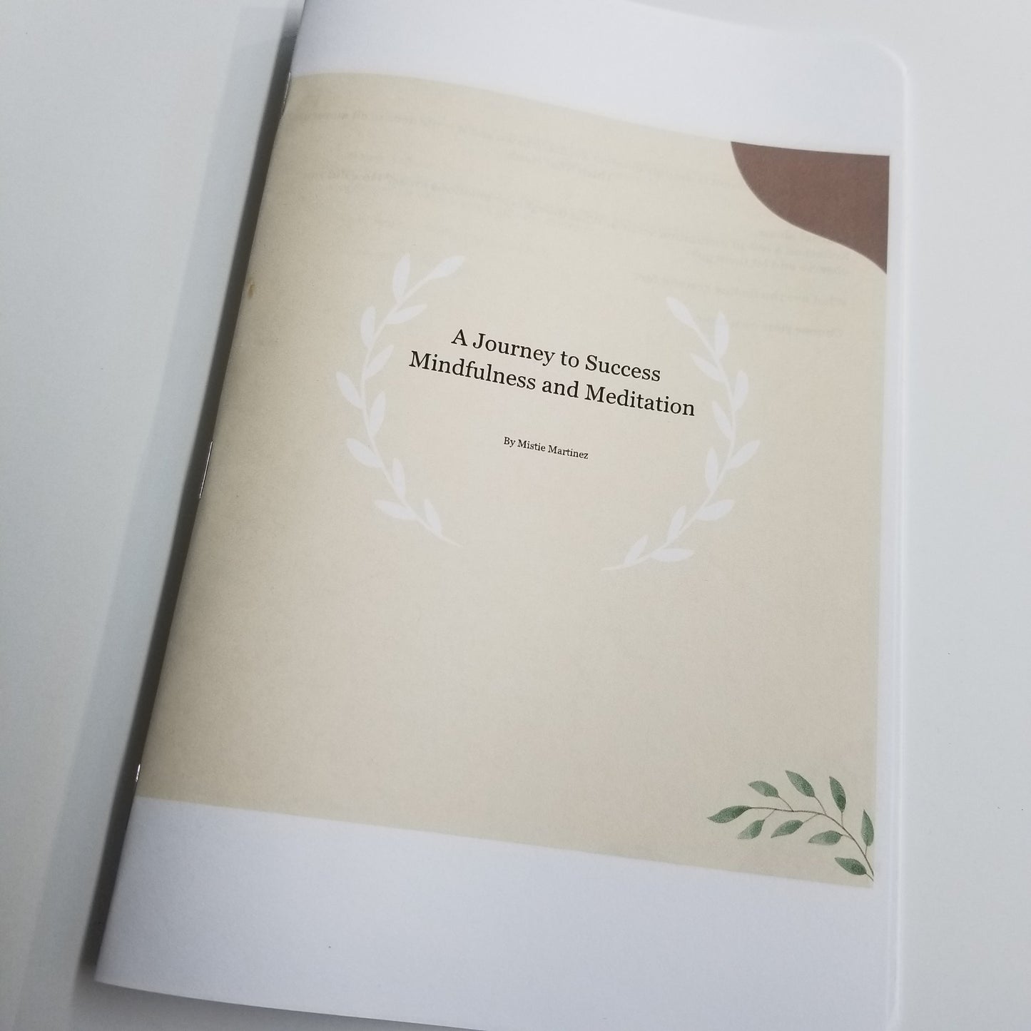 Mindfulness and Meditation - A Journey to Success