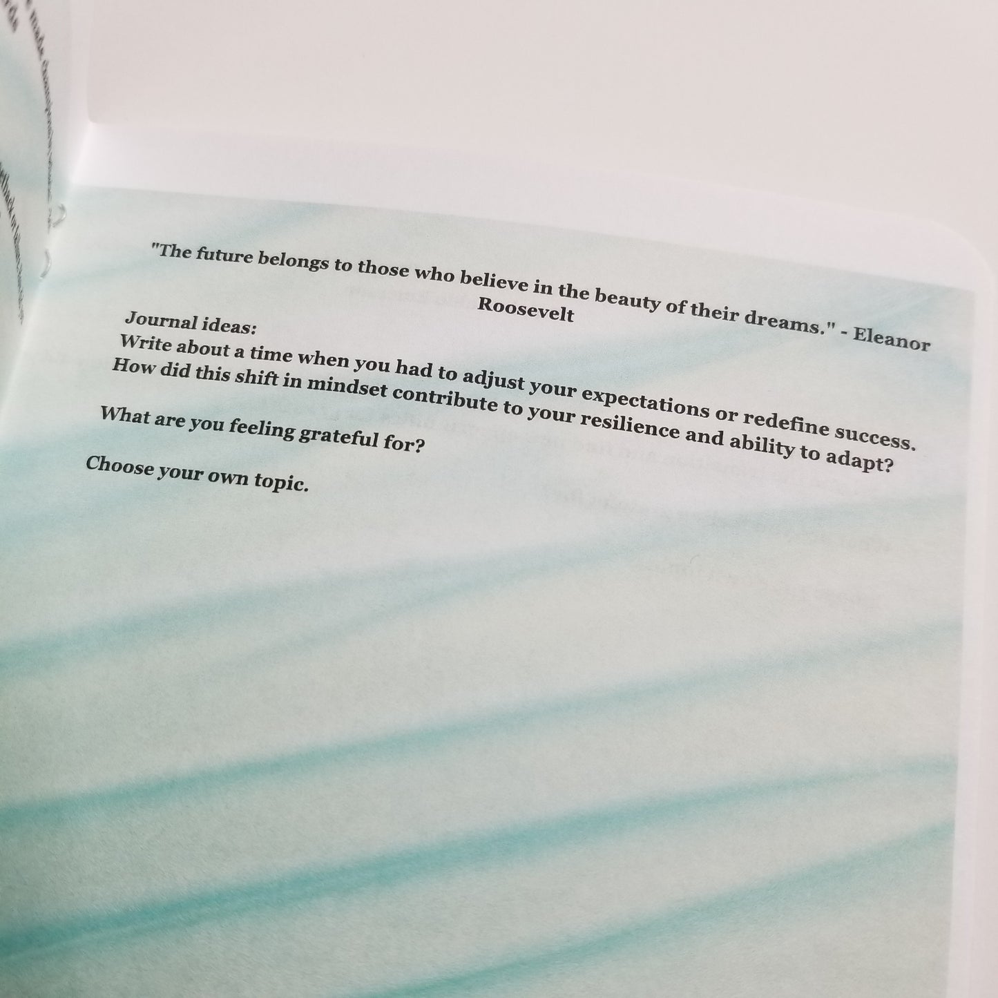 Resilience and Adaptability - A Journey to Success