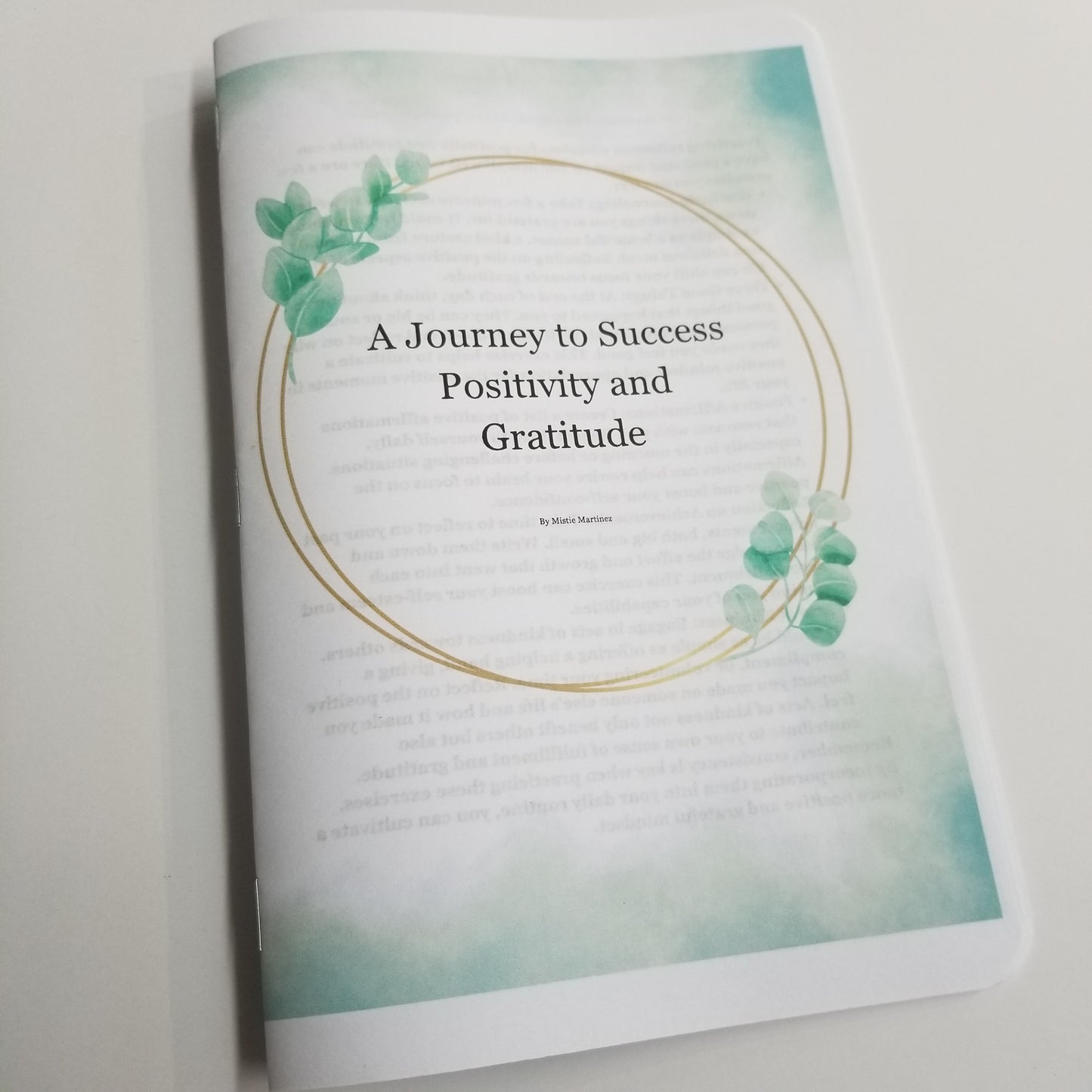 Positivity and Gratitude - A Journey to Success