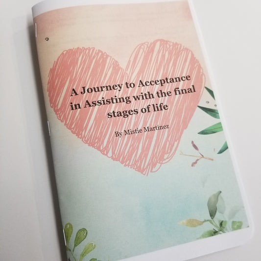 A Journey to Acceptance - A Journey to Success