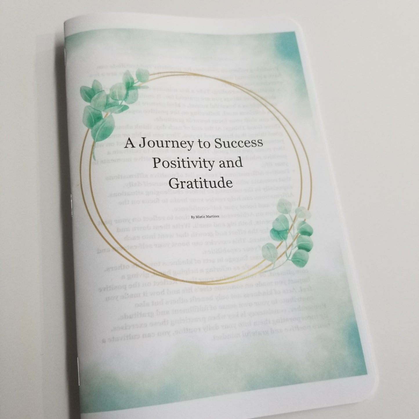 Positivity and Gratitude - A Journey to Success